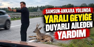 Samsun-Ankara Yolunda Yaralı Geyiğe Duyarlı Aileden Yardım
