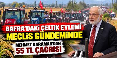 Bafra’daki Çeltik Eylemi Meclis Gündeminde