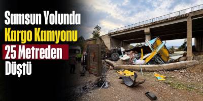 Samsun Yolunda Kargo Kamyonu 25 Metreden Düştü