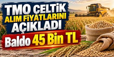 TMO Çeltik Alım Fiyatlarını Açıkladı Baldo 45 Bin TL