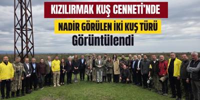 Kızılırmak Kuş Cenneti’nde Nadir Görülen İki Kuş Türü Görüntülendi