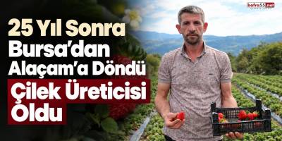 25 Yıl Sonra Bursa’dan Alaçam’a Döndü Çilek Üreticisi Oldu