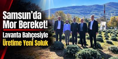 Samsun’da Mor Bereket! Lavanta Bahçesiyle Üretime Yeni Soluk