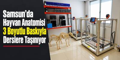 Samsun’da Hayvan Anatomisi 3 Boyutlu Baskıyla Derslere Taşınıyor