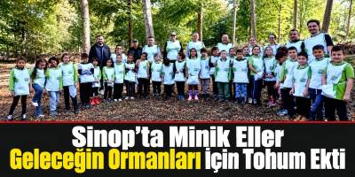 Sinop’ta Minik Eller Geleceğin Ormanları İçin Tohum Ekti