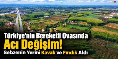 Türkiye’nin Bereketli Ovasında Acı Değişim! Sebzenin Yerini Kavak ve Fındık Aldı