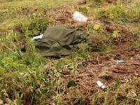 TARLADA TÜFEKLE VURULMUŞ CESET BULUNDU