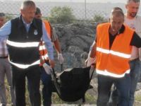 DENİZDE BULUNAN CESETİN KİMLİĞİ BELİRLENEMEDİ