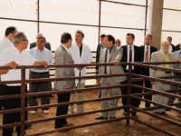 ESKİ BAKAN MUSTAFA DEMİR BELEDİYE HİZMET ALANLARINI GEZDİ