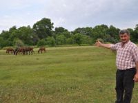 YILKI ATLARA SAHİP ÇIKTI