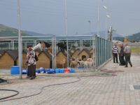 BAFRA DA HAYVAN SEVERLER BARINAĞI GEZDİ