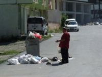 Bafra’da Çöpler Yerde Geziyor