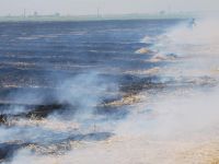 ANIZLAR NASIL YAKILACAK