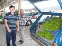 TURFANDA SEBZELER HALDE YERİNİ ALDI