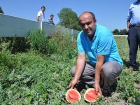 KARA KARPUZ, ÜRETİCİNİN YÜZÜNÜ AK ETTİ