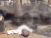 MISIR SOKAKLARINDA TÜYLER ÜRPERTEN GÖRÜNTÜLER