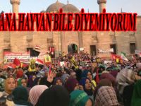 SANA HAYVAN BİLE DİYEMİYORUM