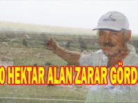 DELTADA ÇIKAN YANGIN SÖNDÜRÜLDÜ