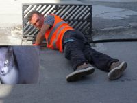 KEDİ KURTARMA OPERASYONU