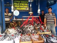 BALIK TEZGAHDA YERİNİ ALDI