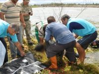 KOŞUKÖYÜNDE BİR KİŞİ BOĞULARAK HAYATINI KAYBETTİ