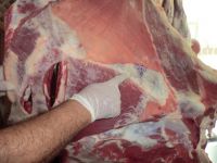 ZABITA GÖZ AÇTIRMIYOR