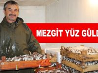 MEZGİT YÜZ GÜLDÜRDÜ