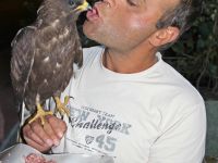 BULDUĞU ŞAHİNE SAHİP ÇIKTI