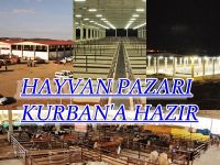HAYVAN PAZARI KURBAN BAYRAMINA HAZIR