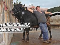 35 BİN TL’LİK KURBANLIK