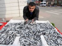 KURBAN BAYRAMI YAKLAŞTI, HAMSİ 3 LİRAYA DÜŞTÜ