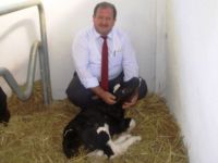 BAFRA’DA GEBE DÜVE DAĞITIMI