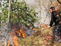 SAMSUN’DA ORMAN YANGINI