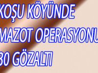 BAFRADA MAZOT OPERASYONU