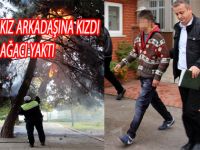 KIZ ARKADAŞINA KIZDI PARKDAKİ AĞACI YAKTI