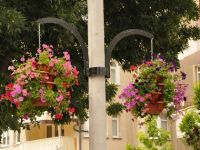 Başkan Şahin : Yeni Parklar Yaptık, Çocuk Oyun Gruplarını Yeniledik