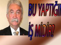 BU İŞMİDİR YANİ