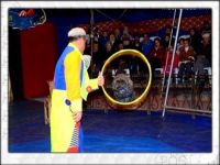 ATLAS SİRK ALAÇAMDA