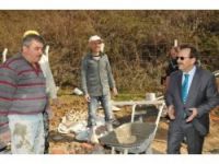 BAŞKAN ŞAHİN HAYVAN PAZARINDA İNCELEMELERDE BULUNDU