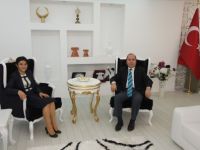 Bayan Kaymakam Adayı Bafra’da Staj Görüyor