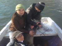 BOĞULMAK ÜZERE OLAN KARACAYI GENÇLER KURTARDI