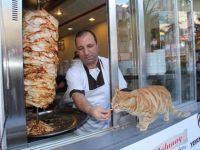 MİNNOŞ’UN DÖNER TUTKUSU