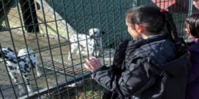 HAYVANAT BAHÇESİNİ 300 BİN KİŞİ ZİYARET ETTİ