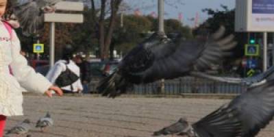 HAVALAR ISINDI, SAMSUNLULAR SOKAKLARA DÖKÜLDÜ