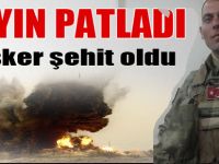 Okul Harçlıklarını İncirden Çıkarıyorlar