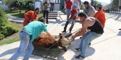 BAFRA ÖZEL EĞİTİM MERKEZİ VE İŞ OKULUNDAN KERMES TEŞEKKÜRÜ…