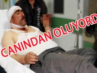 ÇOBAN KÖPEĞİNİN SALDIRDIĞI KİŞİ ÖLÜMDEN DÖNDÜ
