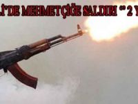 TUNCELİ'DE MEHMETÇİĞE SALDIRI '' 2 YARALI ''