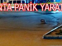BAFRA'DA ŞÜPHELİ PAKET PANİK YARATTI