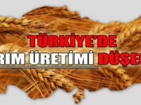 TÜRKİYE'DE TARIM ÜRETİMİ DÜŞECEK